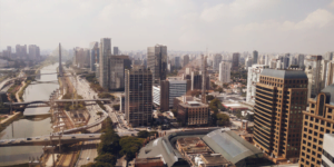 Câmara Municipal de São Paulo estuda proibir animais em esportes com apostas esportivas