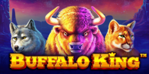 Apostas buffalo king