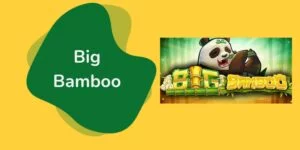 Como jogar o Big Bamboo: guia para iniciantes
